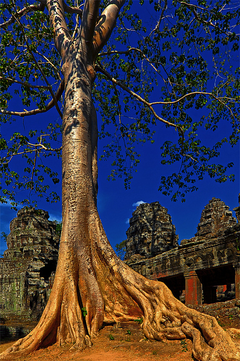 Загадки Ангкора