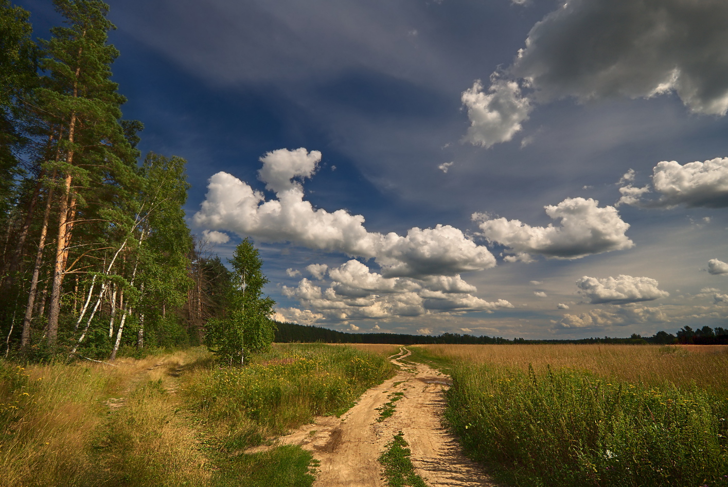 Природа любительские