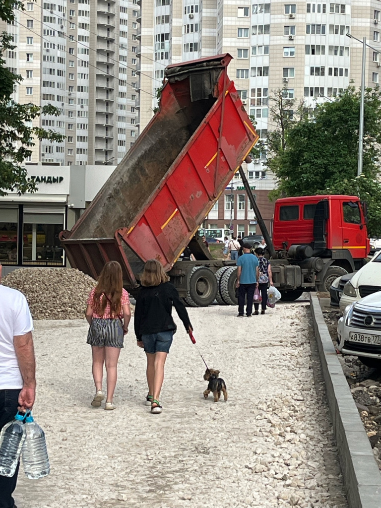 Обзор социальных сетей с 7 по 13 июня 2024 г. :: Новостной портал города  Пушкино и Пушкинского городского округа