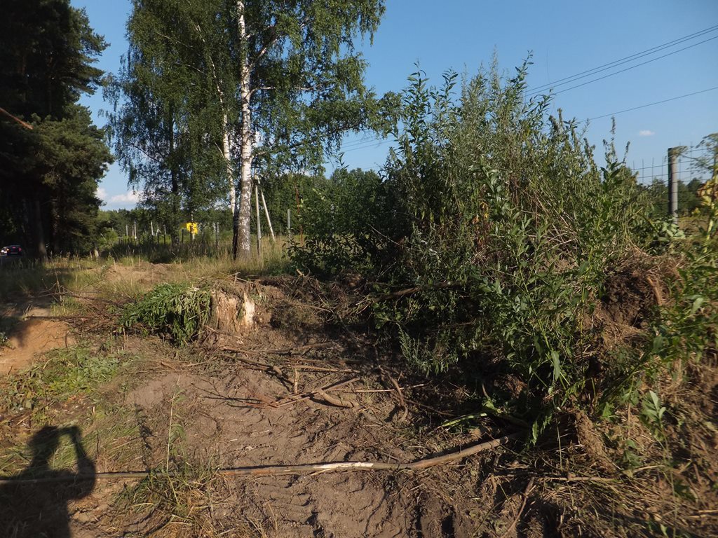 Снова к реконструкции ул. Дзержинского в Новом Пушкино :: Новостной портал  города Пушкино и Пушкинского городского округа