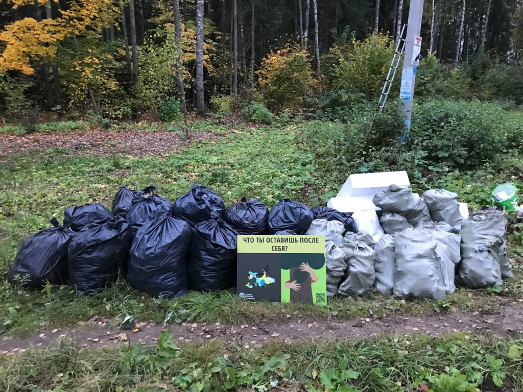 В Пушкино волонтёры на субботнике очистили 166205 квадратных метров леса от  мусора :: Новостной портал города Пушкино и Пушкинского городского округа