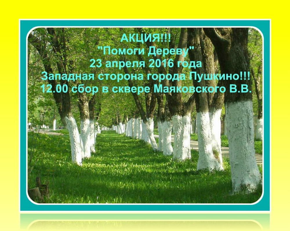 Чем заняться в выходные 23-24 апреля? :: Новостной портал города Пушкино и  Пушкинского городского округа