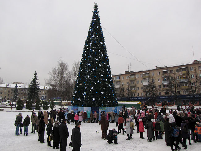 Новогодняя елка в Пушкино