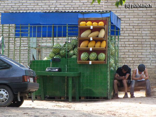 Торговля арбузами в Пушкино