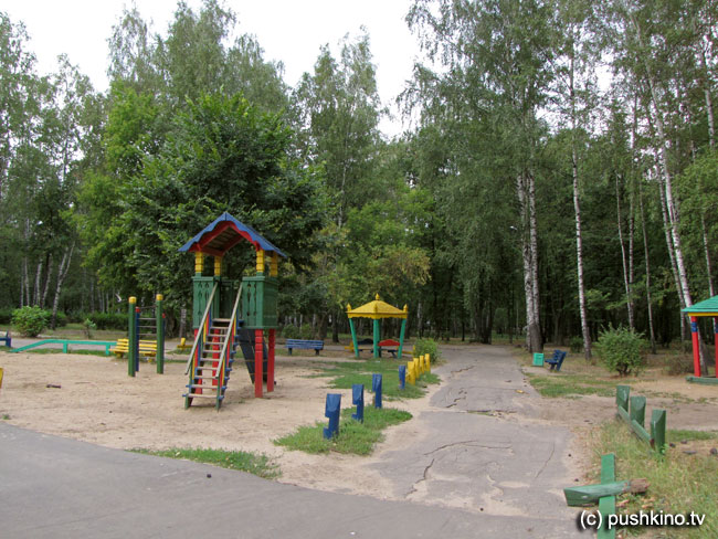 Городской парк Пушкино